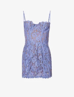 Lala Panelled-lace Mini Dress