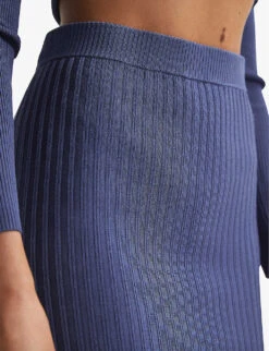 Reiss Iona Pencil Ribbed-knit Midi Skirt -Ted Baker Store R04075237 BLUE ALT04