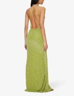 Leopard-print Cowl-neck Mesh Maxi Dress -Ted Baker Store R04148247 LIME ALT02